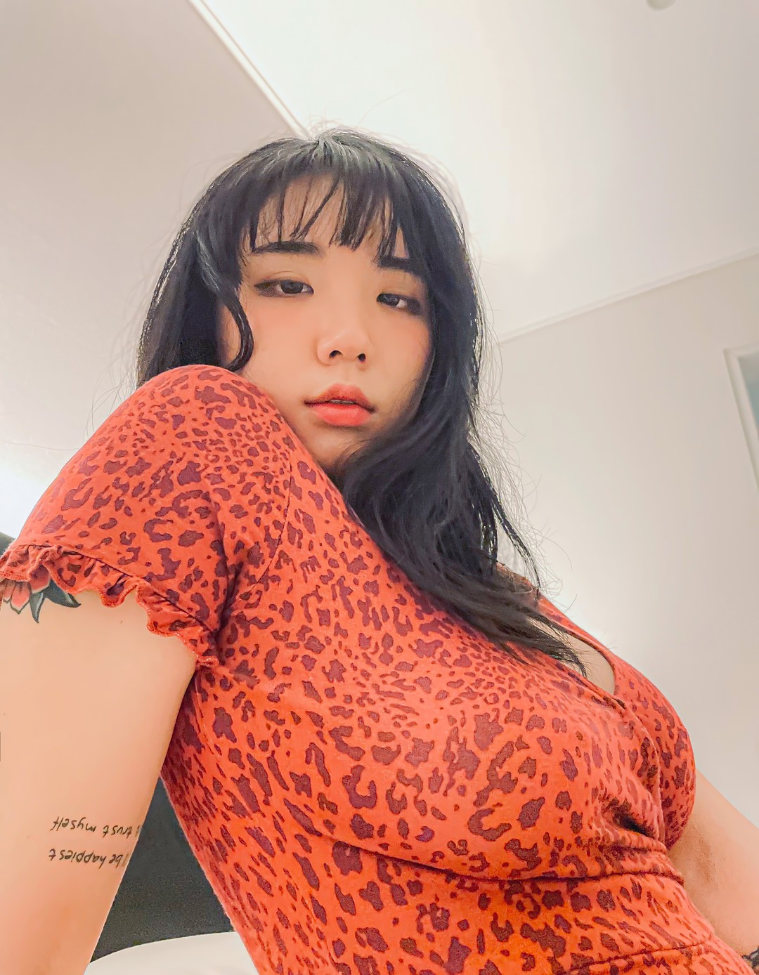 EchiH美女写真合集700P363V 50GB打包下载