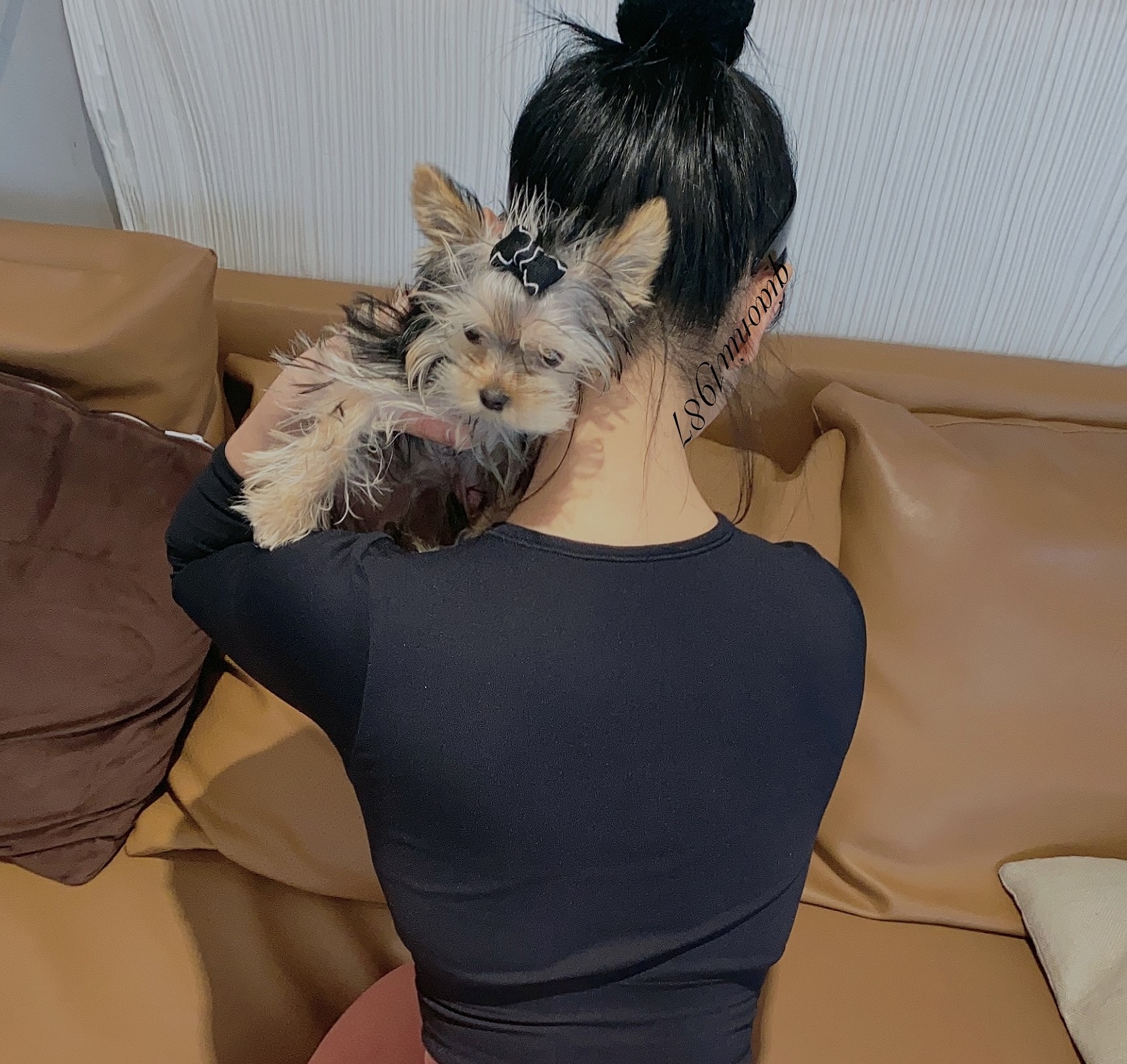 俏妞qiaoniuTT写真合集129套22GB打包下载 1 1