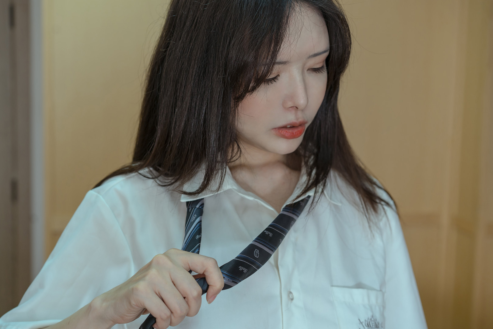 秋与柯基犬写真合集119套 128GB高清资源 1 1